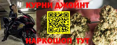 амф Новокубанск