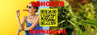 амф Новозыбков