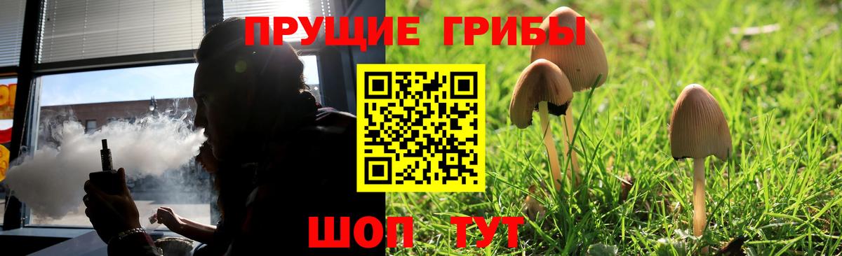 Галлюциногенные грибы GOLDEN TEACHER  Псилоцибиновые грибы Cubensis  Трёхгорный  Вход с VPN 